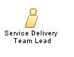Service_Delivery_Team_Lead